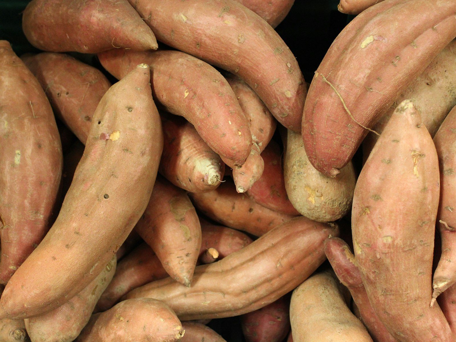 Sweet Potatoes